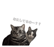 863503540