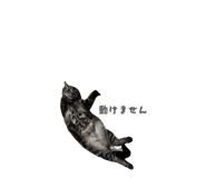 863503541