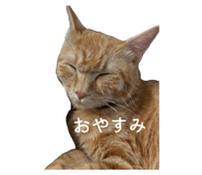 863503697