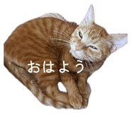 863503698