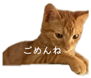 863503699