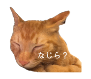 863503701