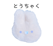 863504503