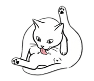 863506227