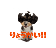 863507249