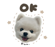 863508138