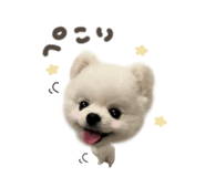 863508140