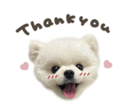 863508141