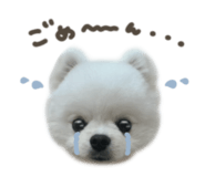 863508142