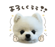863508144