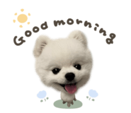 863508145