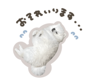863508153