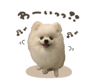 863508154