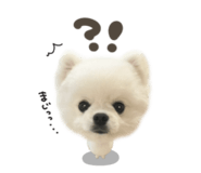 863508155