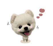 863508157