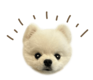 863508160