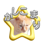 863508302