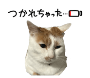 863508498