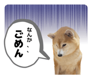 863508499