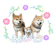 863508500