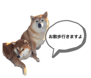 863508503