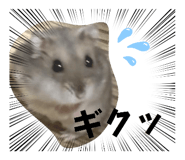 863509069