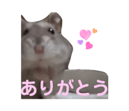 863509076