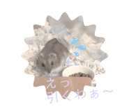 863509078