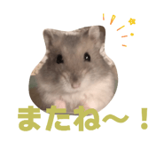 863509093