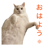 863509137