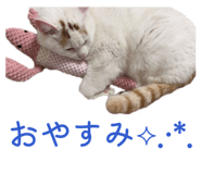 863509139