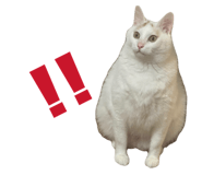 863509141