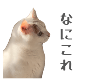 863509142