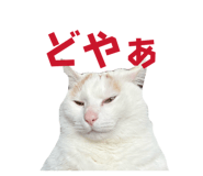 863509143