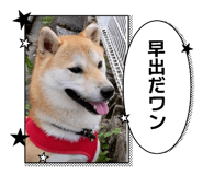 863510550