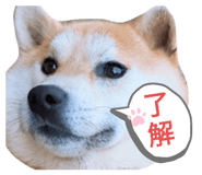 863510552