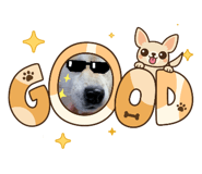 863510561