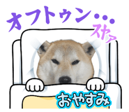 863510576