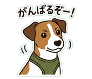 863510677