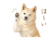 863510707
