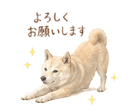 863510709