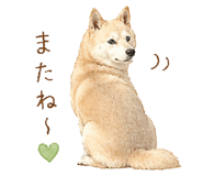863510710