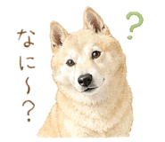 863510714