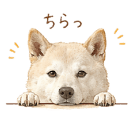 863510715