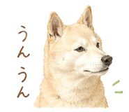 863510717