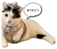 863510759