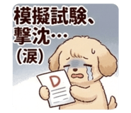 863510781