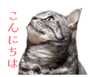 863511514