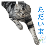863511521