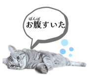 863511530